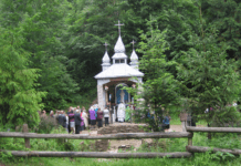 Цілющі джерела Львівщини