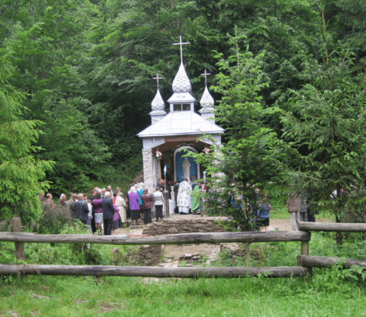Целебные источники Львовщины