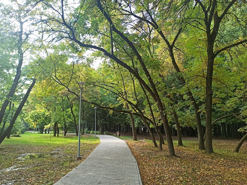 Горіховий гай