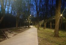 Лісопарк Білогорща
