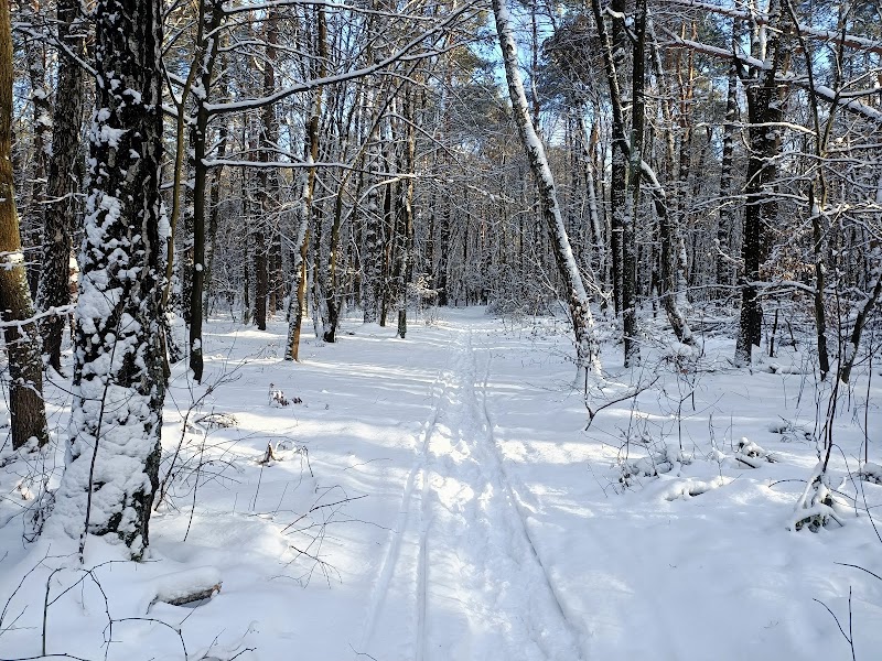 Лісопарк Білогорща
