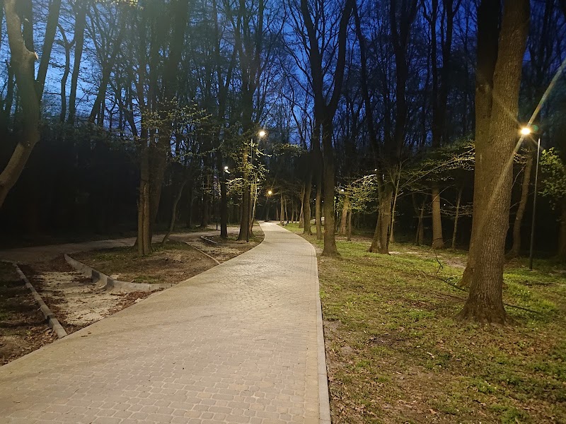 Лісопарк Білогорща