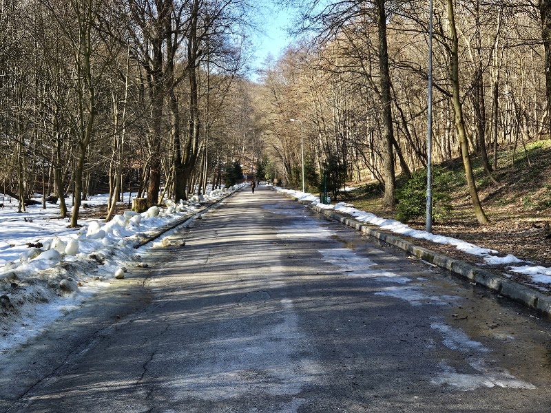 Парк Погулянка
