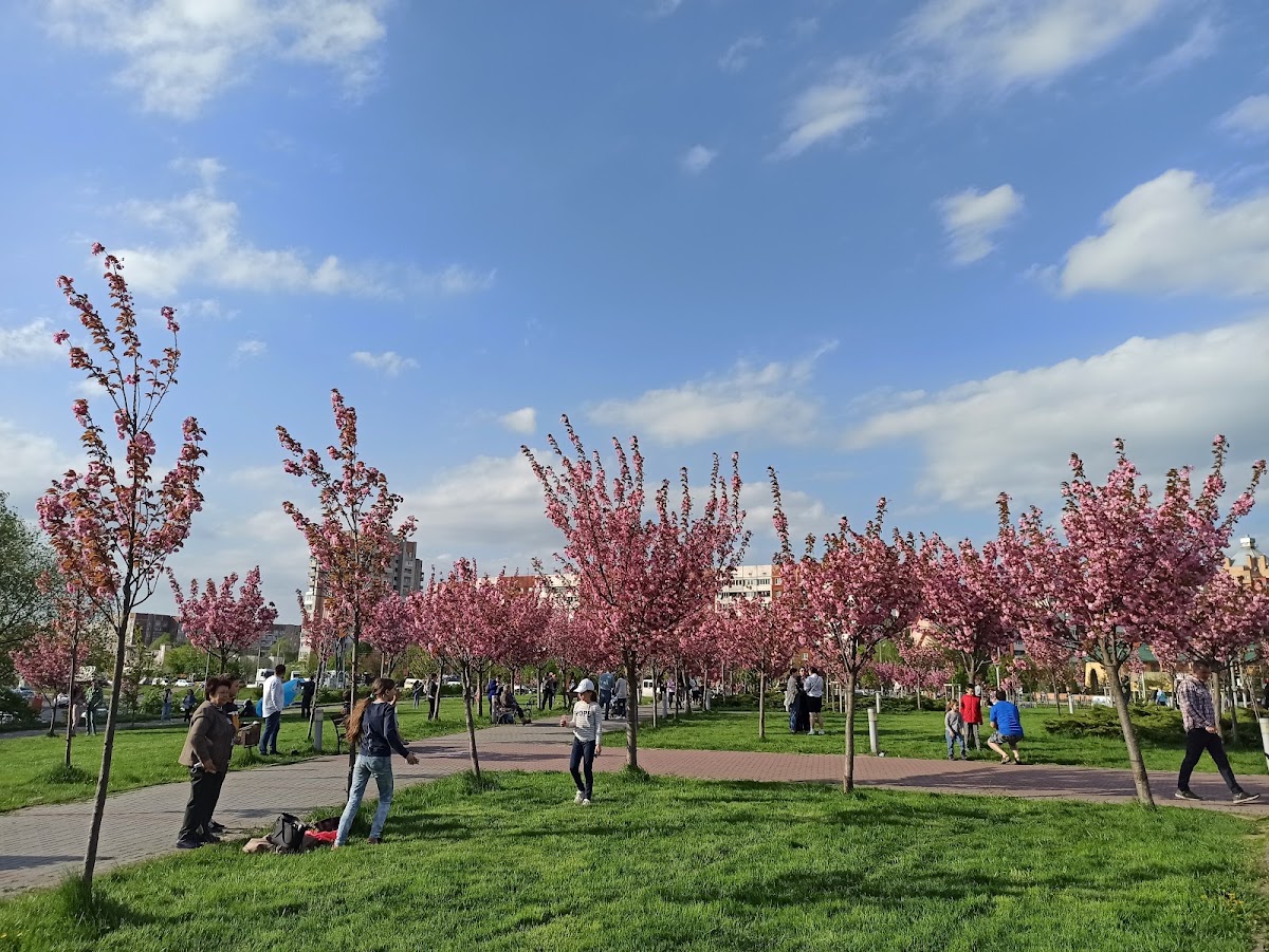Сквер Іоанна Павла II — Park