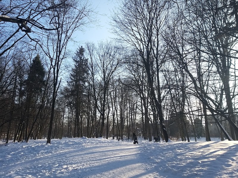 Залізна вода