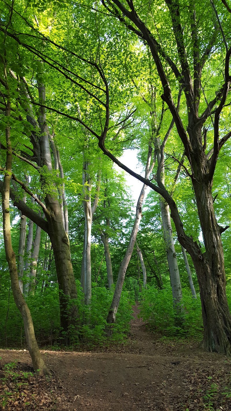 Залізна вода