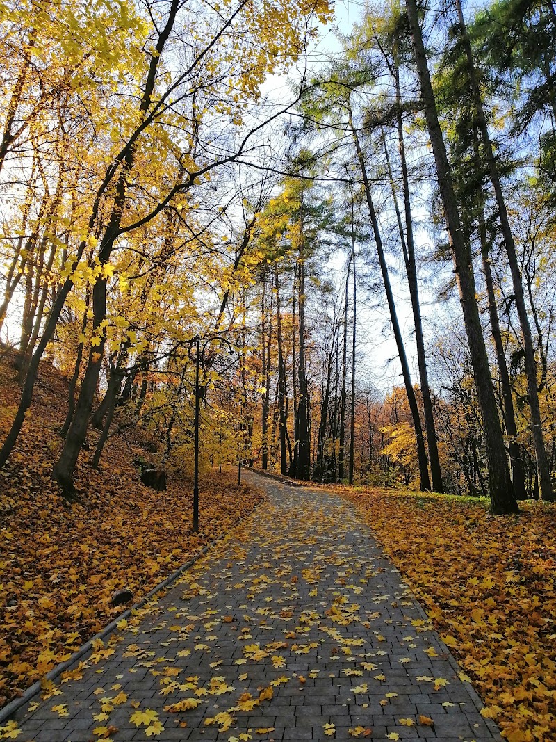Залізна вода