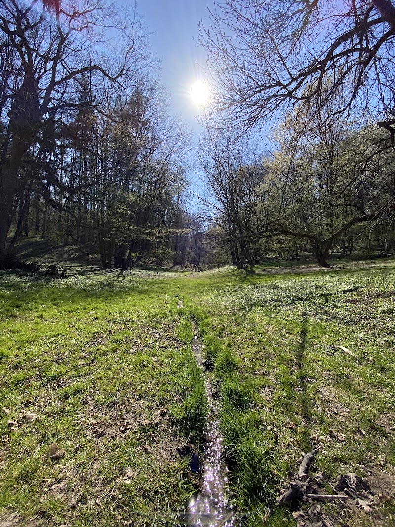Залізна вода