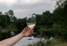 Брожение домашнего вина: длительность и особенности процесса жінка тримає у руках бокал з домашнім білим вином